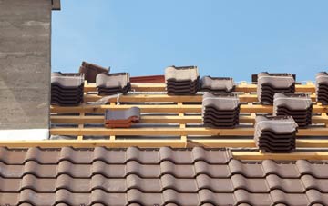 Lizard clay roofing costs