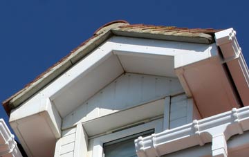 Lizard fascia installation costs