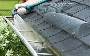 Lizard gutter cleaning costs