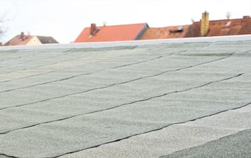 Lizard flat roof replacement