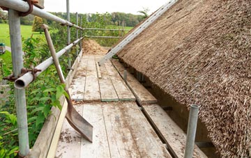 advantages of Lizard thatch roofing