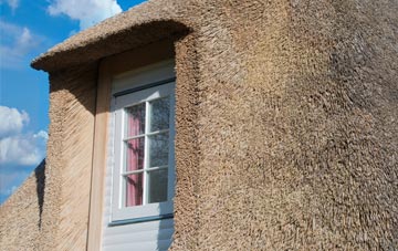 Lizard thatch roof disadvantages