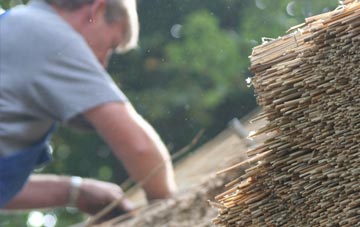 professional Lizard thatchers