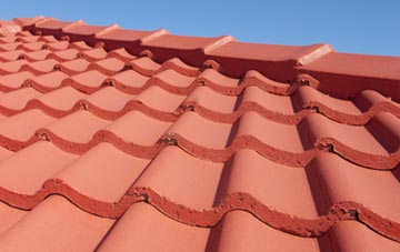 Lizard tile and slate roof replacement