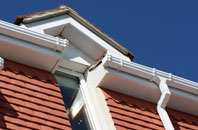 Lizard fascias