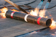 Lizard flat roof sealing