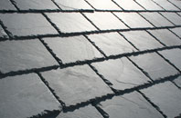 Lizard slate roof